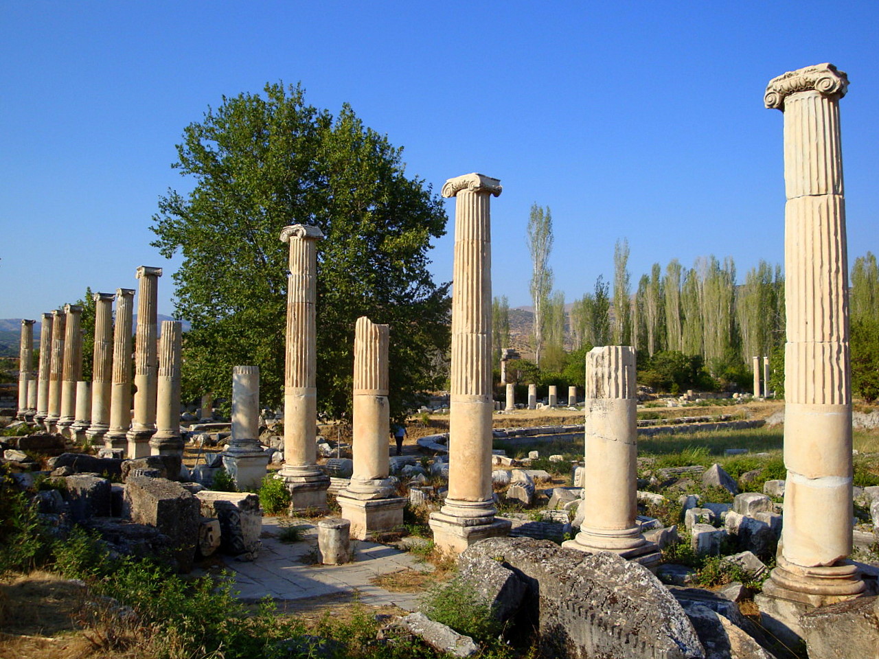 Aphrodisias